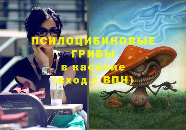 PSILOCYBIN Белоозёрский