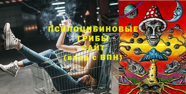 не бодяженный Белокуриха