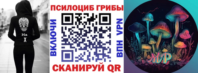 Купить  Бугуруслан  Псилоцибиновые грибы Cubensis 